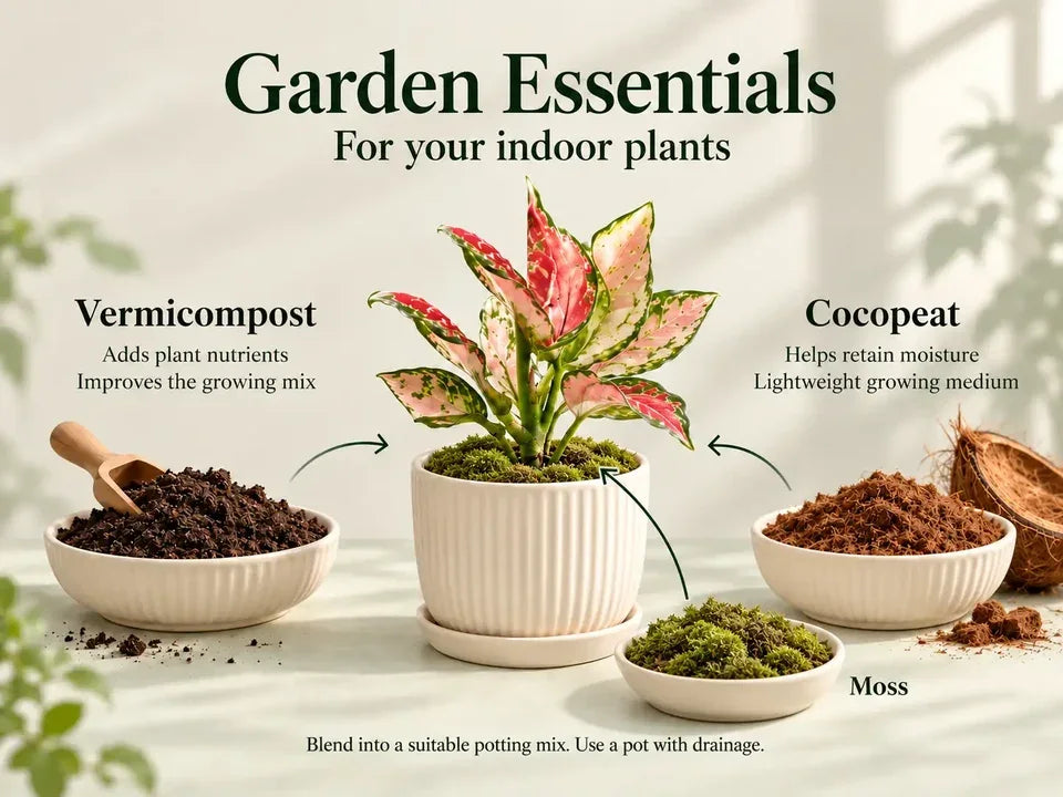 Garden Essentials