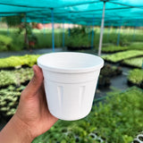 Grow Pot - White Pack of 10