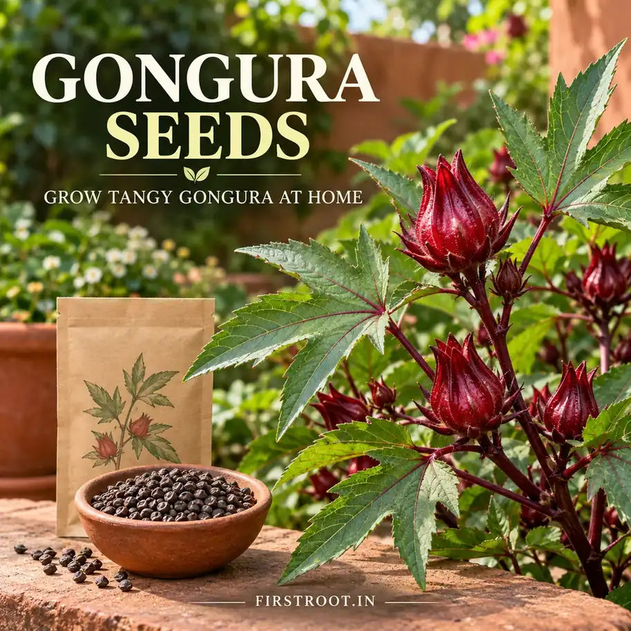 Gongura Seeds — seeds for growing tangy roselle leafy greens